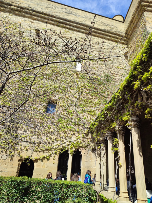 olite_c (4)