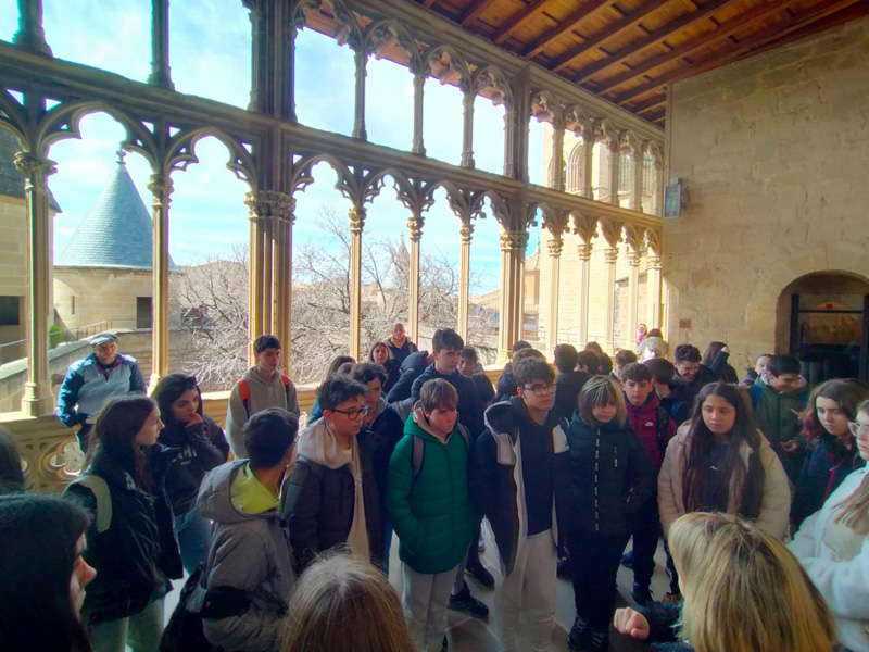 olite_d (1)