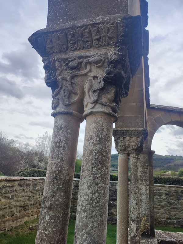 olite_d (2)