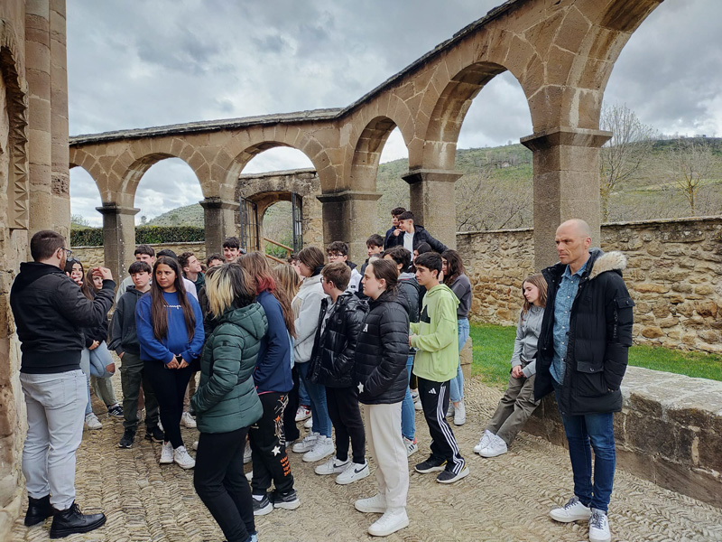 olite_d (3)