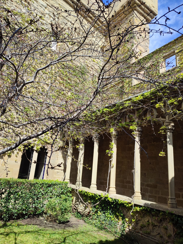 olite_e (5)