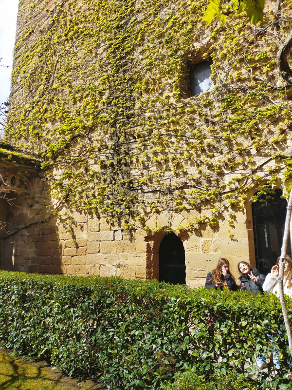 olite_f (2)