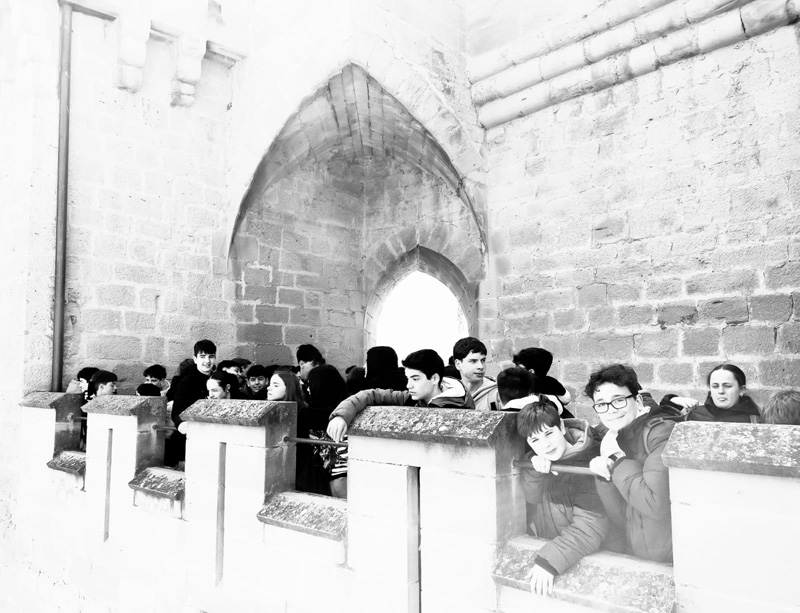olite_f (6)