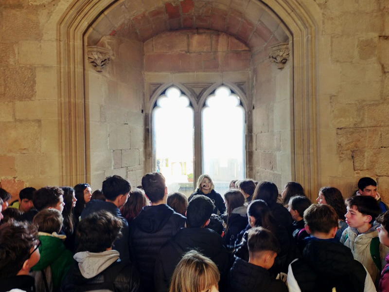 olite_f (7)