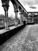 olite_d (9)