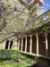 olite_e (5)