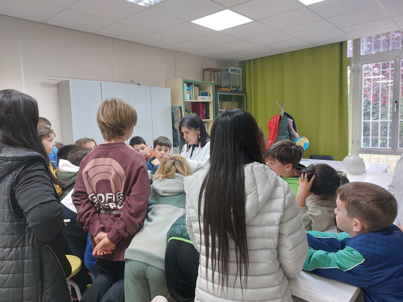 3primaria (9)