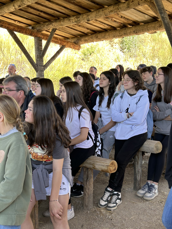 mancha_3 (6)