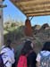 mancha_3 (4)