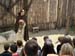 mancha_3 (7)