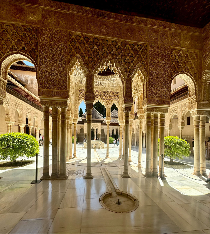 2_alh_b (4)