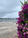 portu_b (6)
