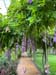 portu_c (6)