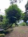 portu_d (4)