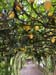 portu_f (2)