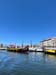portu_g (4)