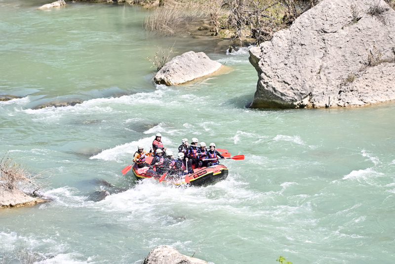 jaca_i (1)
