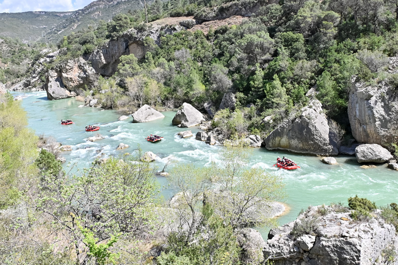 jaca_i (2)