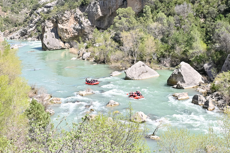 jaca_i (5)