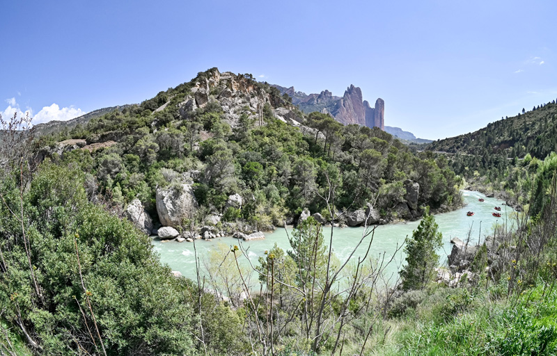 jaca_j (4)