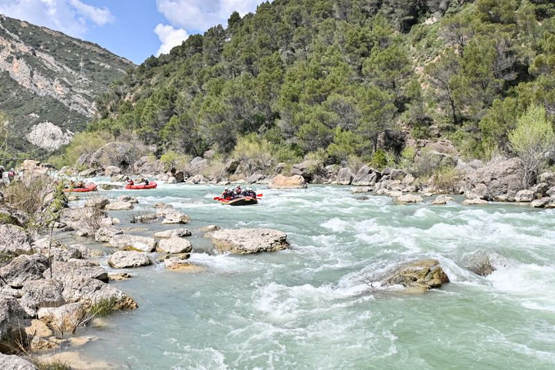 jaca_k (5)