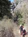 jaca_a (2)