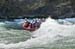 jaca_e (1)