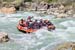 jaca_k (9)