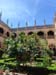 almagro_a (3)