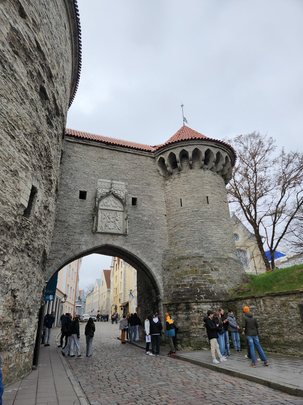 tallin_b (1)