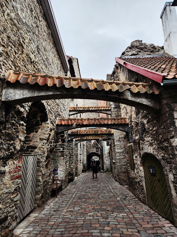 tallin_b (5)