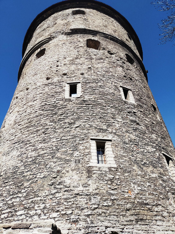 tallin_f (7)