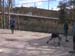 Imagen 057